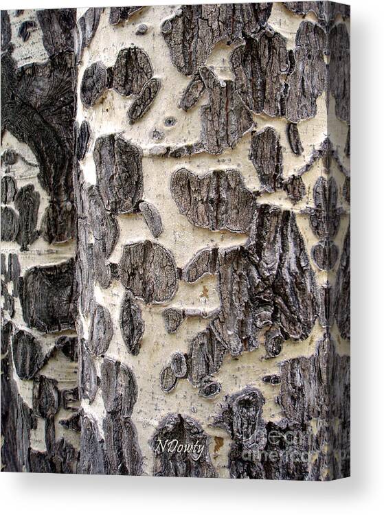 Macro Aspen Bark Canvas Print featuring the photograph Aspen Scars by Natalie Dowty