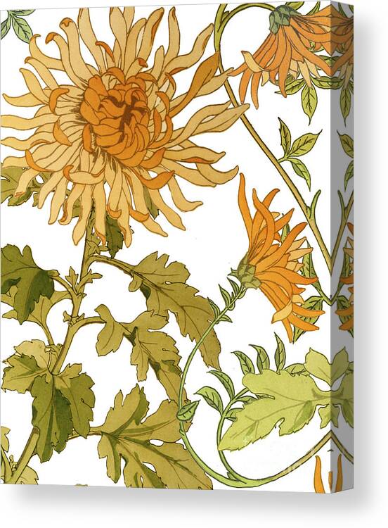 Chrysanthemum Canvas Print featuring the painting Autumn Chrysanthemums I by Mindy Sommers