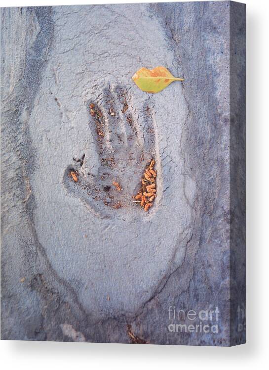  Canvas Print featuring the photograph Autumns Child or Hand in Concrete by Heather Kirk
