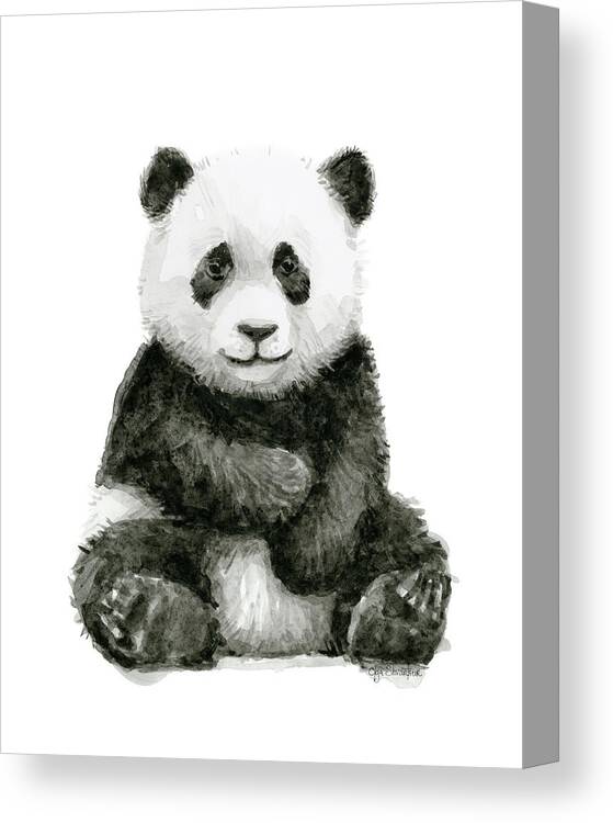 Baby Panda Canvas Print featuring the painting Baby Panda Watercolor by Olga Shvartsur