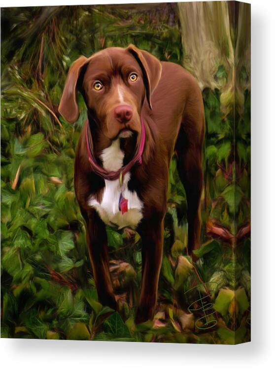 Animal Canvas Print featuring the digital art Bandit by Debra Baldwin