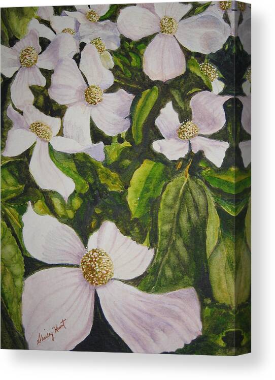 Landscape Canvas Print featuring the painting BC Dogwoods by Shirley Braithwaite Hunt