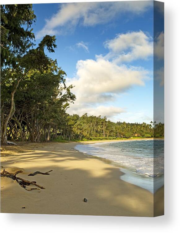 Hawaii Canvas Print featuring the photograph Beach on Oahu Hawaii by Brendan Reals