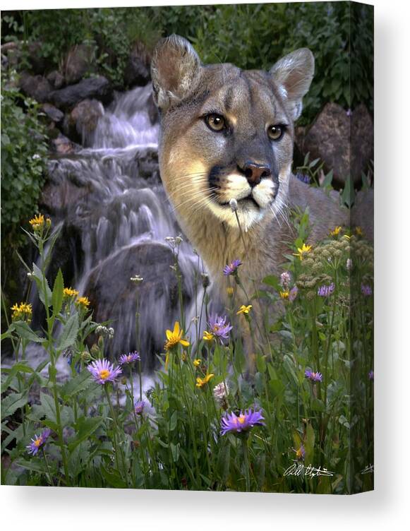 Wildlife Canvas Print featuring the mixed media Beauty on the Mountain by Bill Stephens