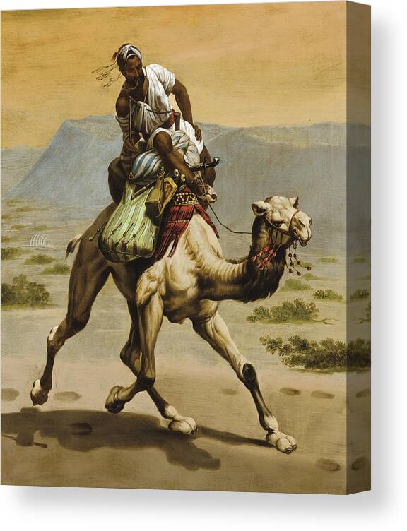 Ippolito Caffi Canvas Print featuring the painting Bedouin on a Camel by Ippolito Caffi