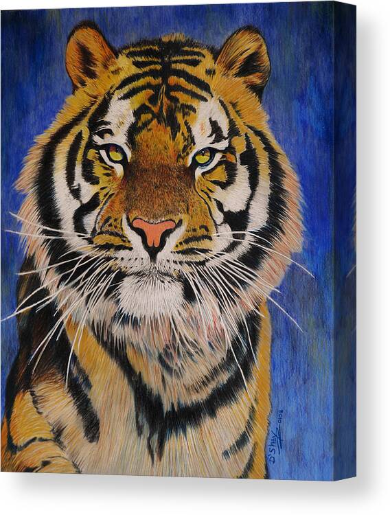 Tiger Canvas Print featuring the painting Bengal Tiger by Don MacCarthy