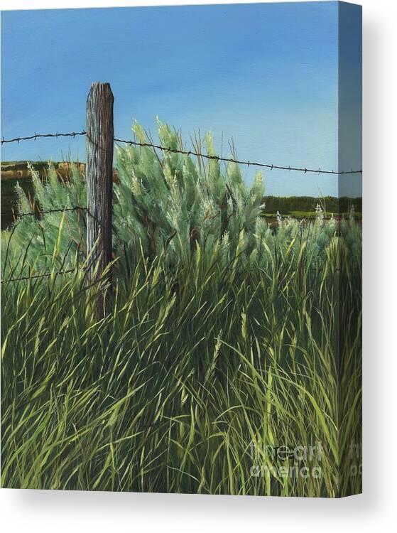 Landscape Canvas Print featuring the painting Between you, me and the Fence Post by Rosellen Westerhoff