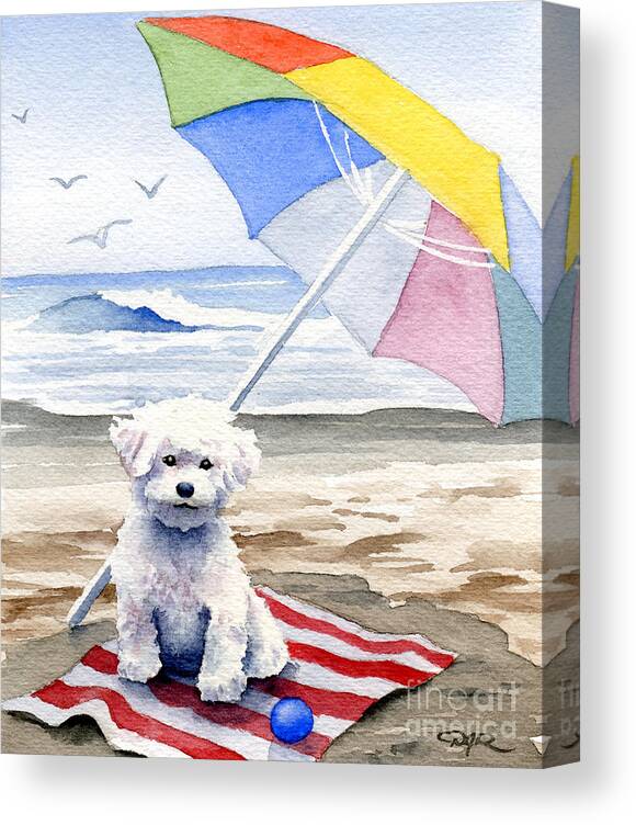 Bichon Canvas Print featuring the painting Bichon Frise At The Beach II by David Rogers