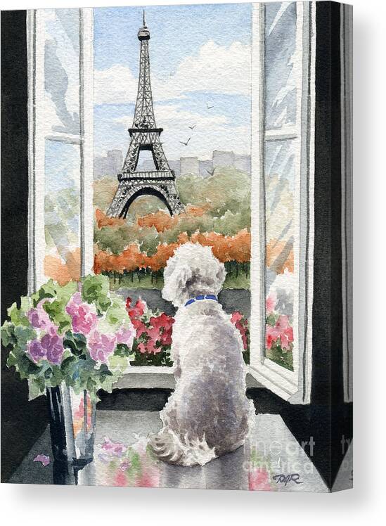 Bichon Canvas Print featuring the painting Bichon Frise In Paris by David Rogers