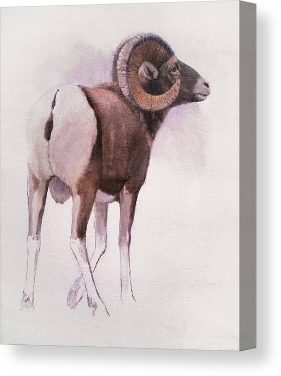 Bighorn Canvas Print featuring the painting Bighorn Sheep by Attila Meszlenyi