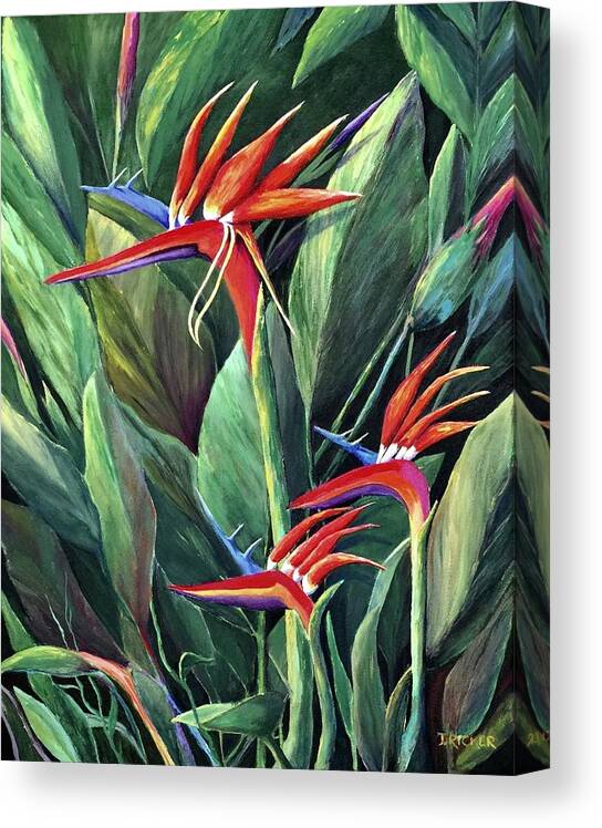 Plants Canvas Print featuring the painting Birds Of Paradise by Jane Ricker