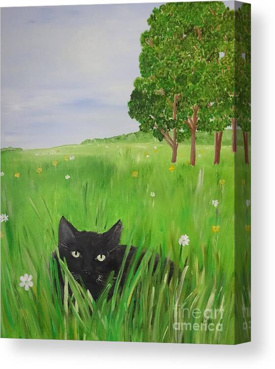 Cat Canvas Print featuring the painting Black cat in a meadow by Karen Jane Jones