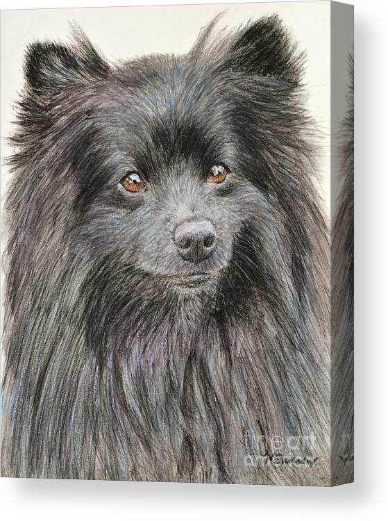 Pomeranian Canvas Print featuring the painting Black Pomeranian Painting by Kate Sumners