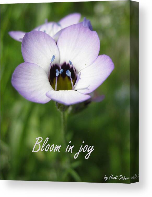 Flower Canvas Print featuring the photograph Bloom in joy by Heidi Sieber