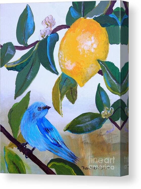 Blue Bird Canvas Print featuring the painting Blue Bird in Lemon Tree by Robin Pedrero