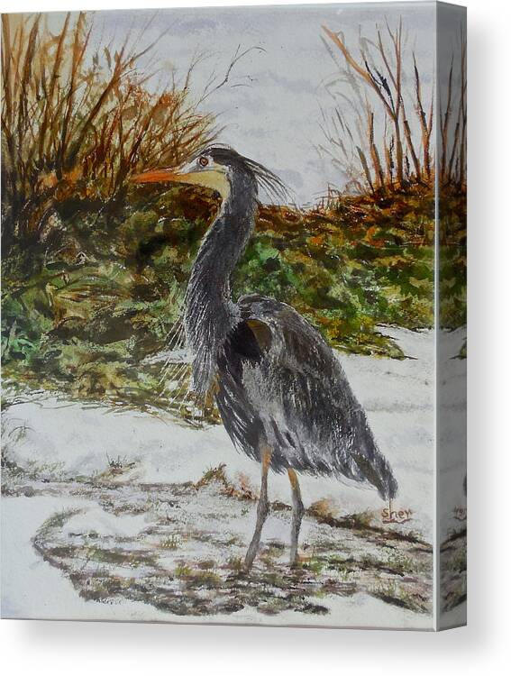 Watercolour Painting Canvas Print featuring the painting Blue Heron by Sher Nasser