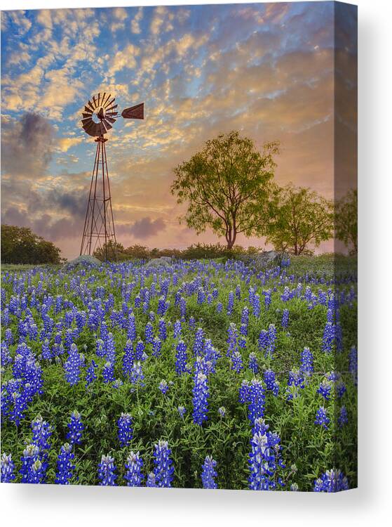 Bluebonnets Canvas Print featuring the photograph Bluebonnets Beneath a Windmill 2 by Rob Greebon