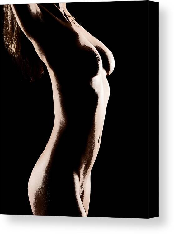 Nude Canvas Print featuring the photograph Bodyscape 542 by Michael Fryd