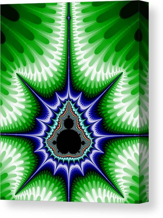 Fractal Canvas Print featuring the digital art Buddha Star 2 by Robert E Alter Reflections of Infinity