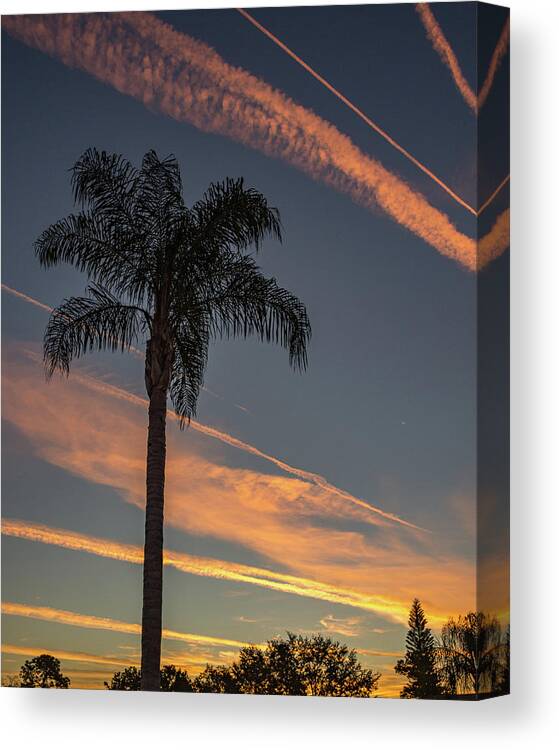 Sun Canvas Print featuring the photograph Busy Sky by David Hart