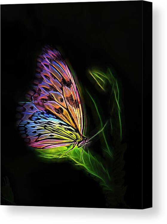 Fantasy Canvas Print featuring the digital art Butterfly Fantasy 2a by Walter Herrit