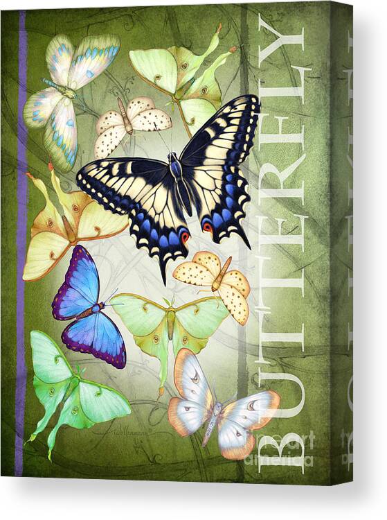 Butterfly Canvas Print featuring the digital art Butterfly by Randy Wollenmann