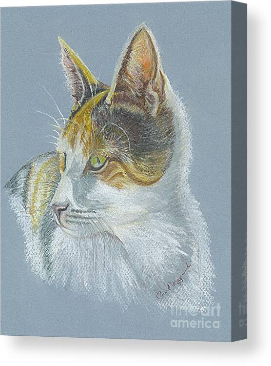 Pastel Canvas Print featuring the drawing Calico Callie by Carol Wisniewski