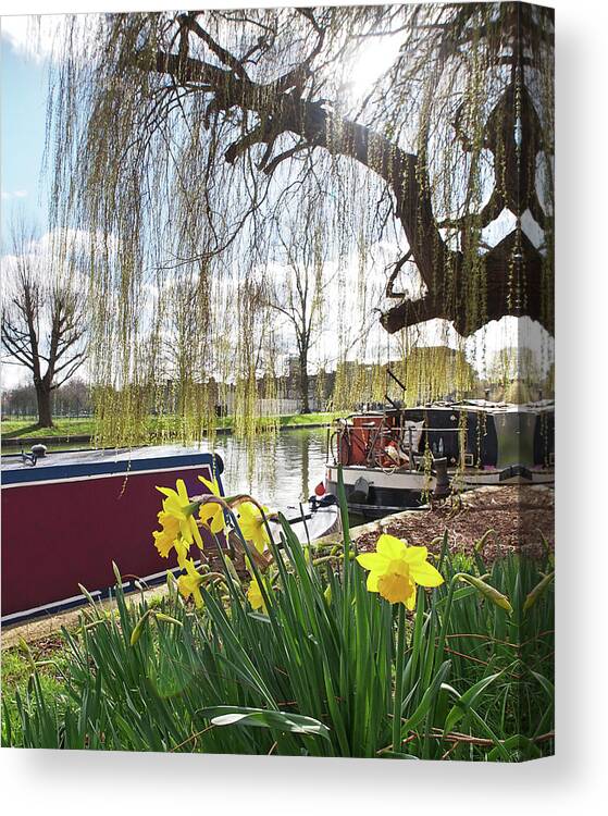 Cambridge Canvas Print featuring the photograph Cambridge Riverbank In Spring by Gill Billington