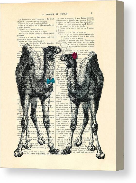 Camels Print Canvas Print featuring the digital art Camels married couple by Madame Memento