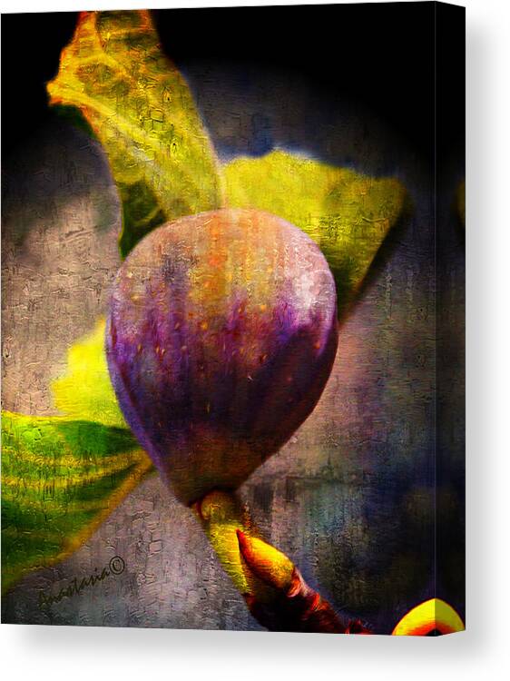 Fig Canvas Print featuring the digital art Celeste Fig by Anastasia Savage Ealy
