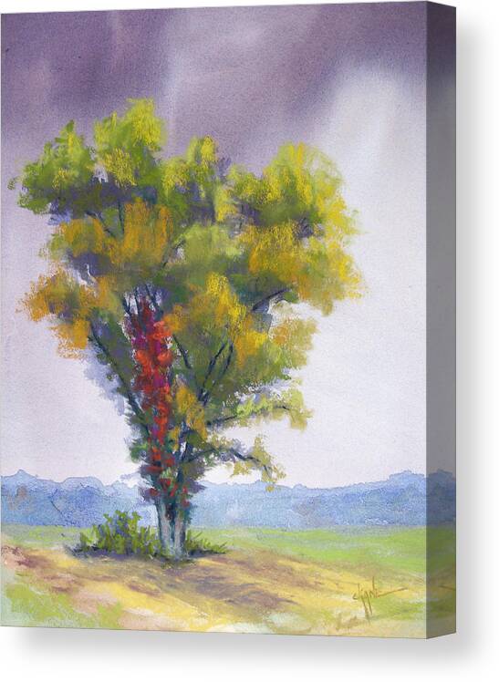 Autumn Tree Canvas Print featuring the pastel Changing Weather Changing Tree by Christine Camp