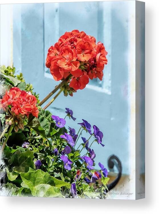 Charleston Window Box Flowers Canvas Print featuring the photograph Charleston SC Window Aqua Blue Shutter, Flowers by Melissa Bittinger
