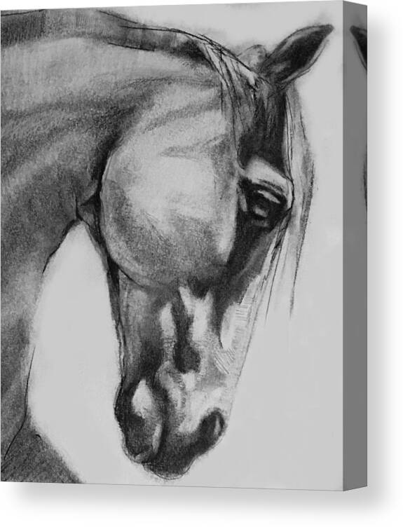 Charcoal Painting Horse On Canvas Draw Stock Illustration 1363068488 |  Shutterstock