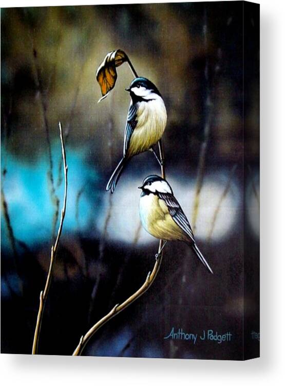 Chickadees Canvas Print featuring the painting Chickadees by Anthony J Padgett