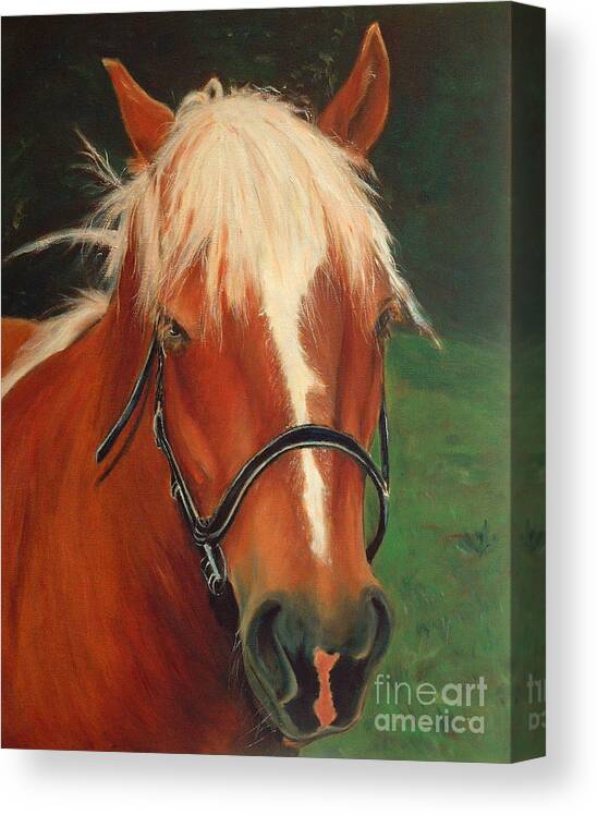 Euqestrian Art Canvas Print featuring the painting Cinnamon the Horse by Portraits By NC