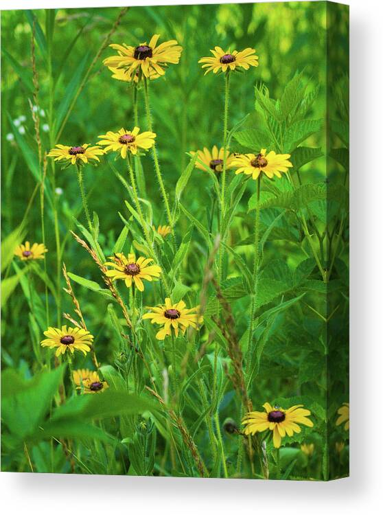 Wildflower Canvas Print featuring the photograph Collection In the Clearing by Bill Pevlor