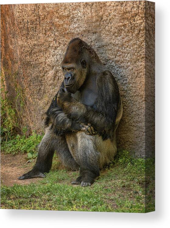 Gorilla Canvas Print featuring the photograph Contemplation by Michael McKenney
