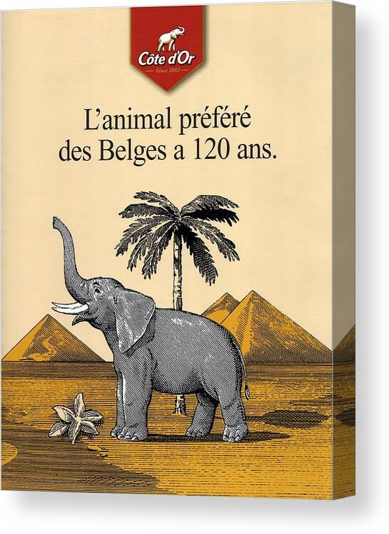 Cote D'or Canvas Print featuring the mixed media Cote d'Or Chocolate - Belgian Chocolate - Elephant near the Egyptian Pyramids - Vintage Poster by Studio Grafiikka