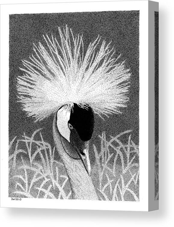 Crown Crane Canvas Print featuring the drawing Crowned Crane by Scott Woyak
