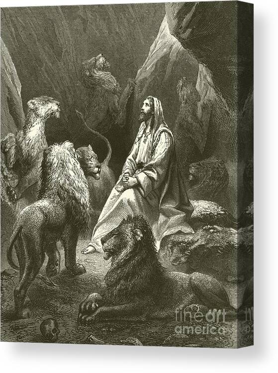 Bible Canvas Print featuring the drawing Daniel in the Lions' Den by English School