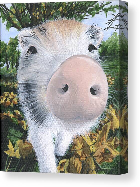 Pig Canvas Print featuring the painting D'Arcy by Twyla Francois