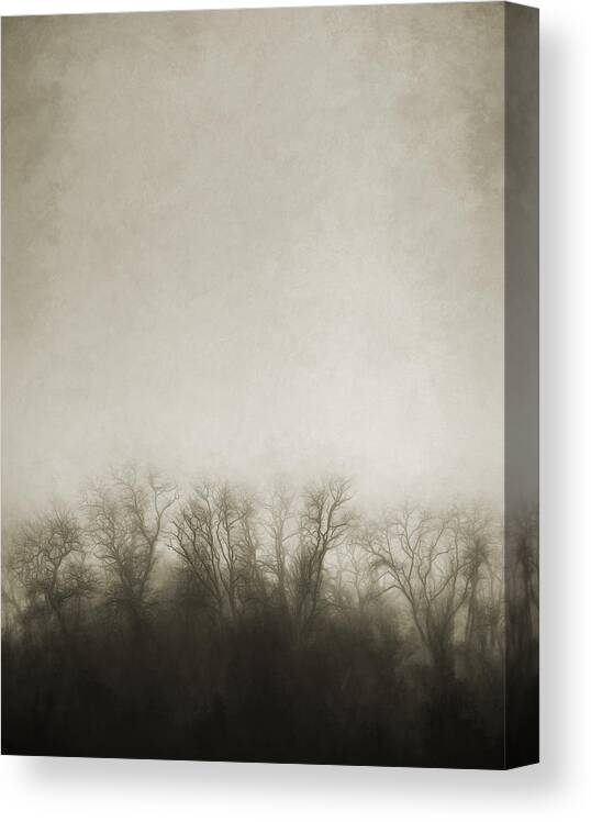 Foggy Canvas Print featuring the photograph Dark Foggy Wood by Scott Norris