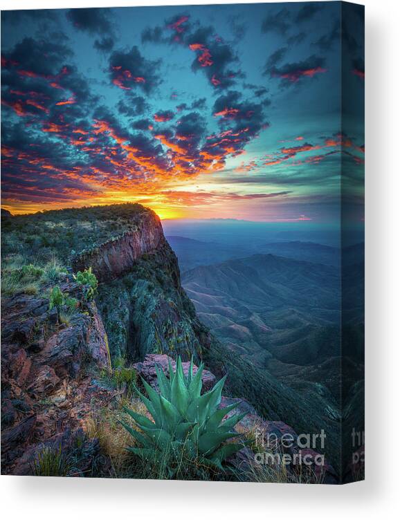 America Canvas Print featuring the photograph Dawn in the Chisos by Inge Johnsson