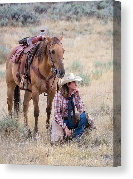 Horses Canvas Print featuring the photograph Deep in Thought by Jack Bell