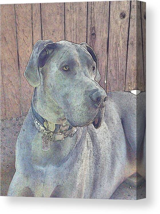 200 Views Canvas Print featuring the photograph Dexter by Jenny Revitz Soper