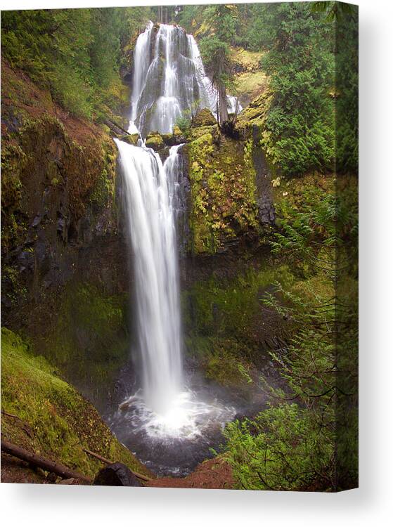 Waterfall Canvas Print featuring the photograph Dual Cascade by Todd Kreuter