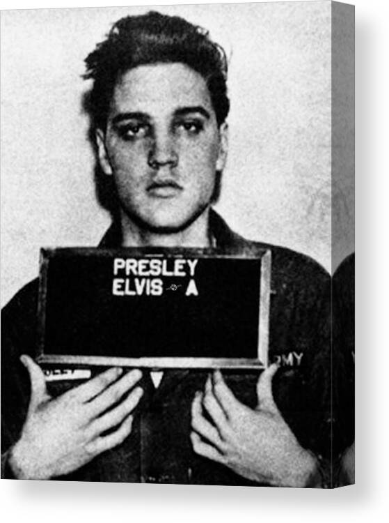 Elvis Presley Canvas Print featuring the painting Elvis Presley Mug Shot Vertical 1 Wide 16 By 20 by Tony Rubino