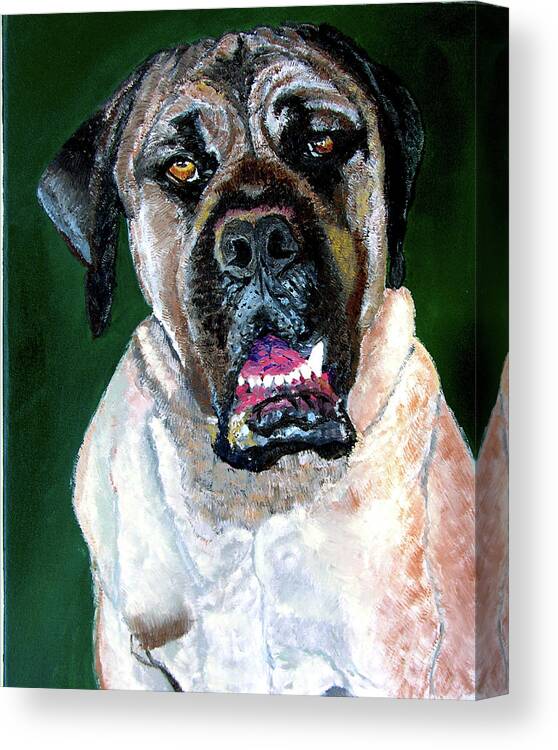 Dog Portrait Canvas Print featuring the painting Ely by Stan Hamilton