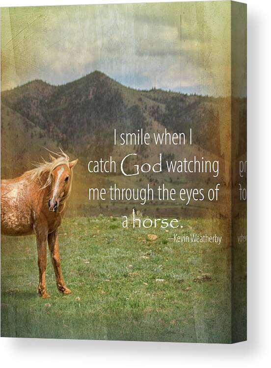 Eyes Of Horse Canvas Print featuring the photograph Eyes of a Horse by Jolynn Reed