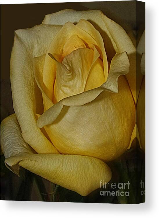 Flowers Canvas Print featuring the photograph f4 by Tom Griffithe